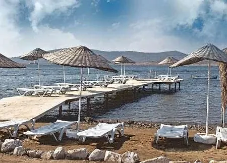 Biyikli فندق Ayvalı