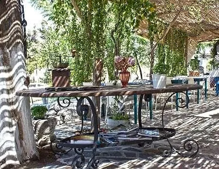 Biyikli Ayvalı